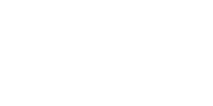 Logo for CWT Websites
