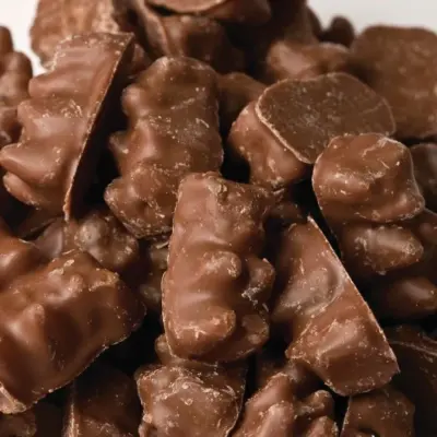 Chocolate Covered Gummy Bears- 1 pound